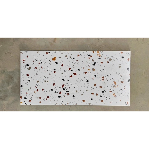 [36205] Gạch Terrazzo KT 300x600mm 36205