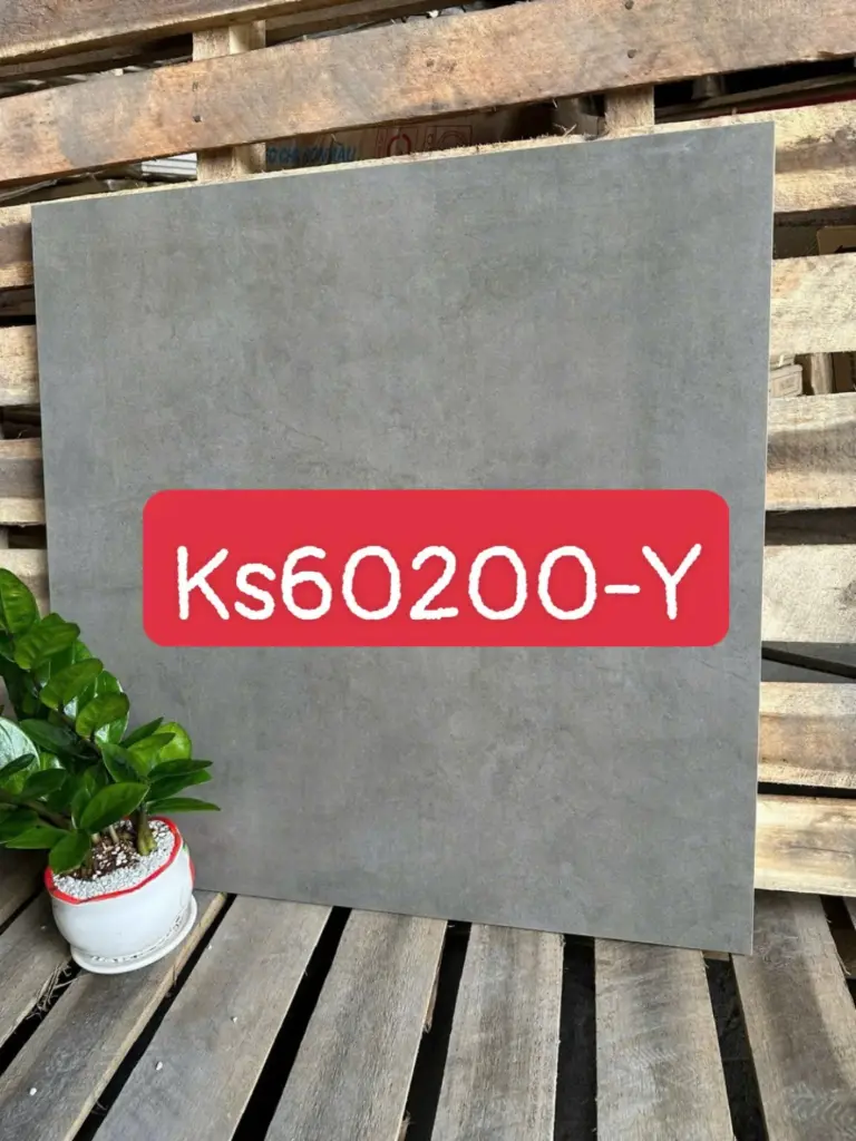 [DSC-KS60200-Y] Gạch 600x600mm xám xi măng mã KS60200-Y