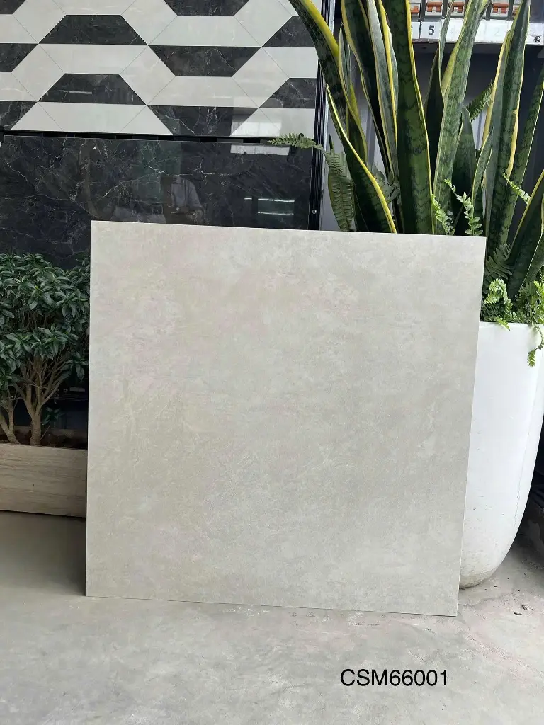 [DSC-3509AMM612003] Gạch lát sàn KT 600x600mm CSM66001