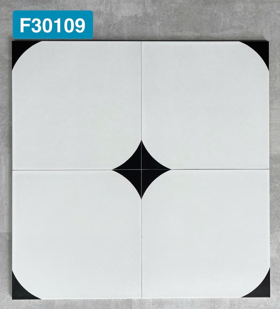 Gạch bông 300x300 mã F30109