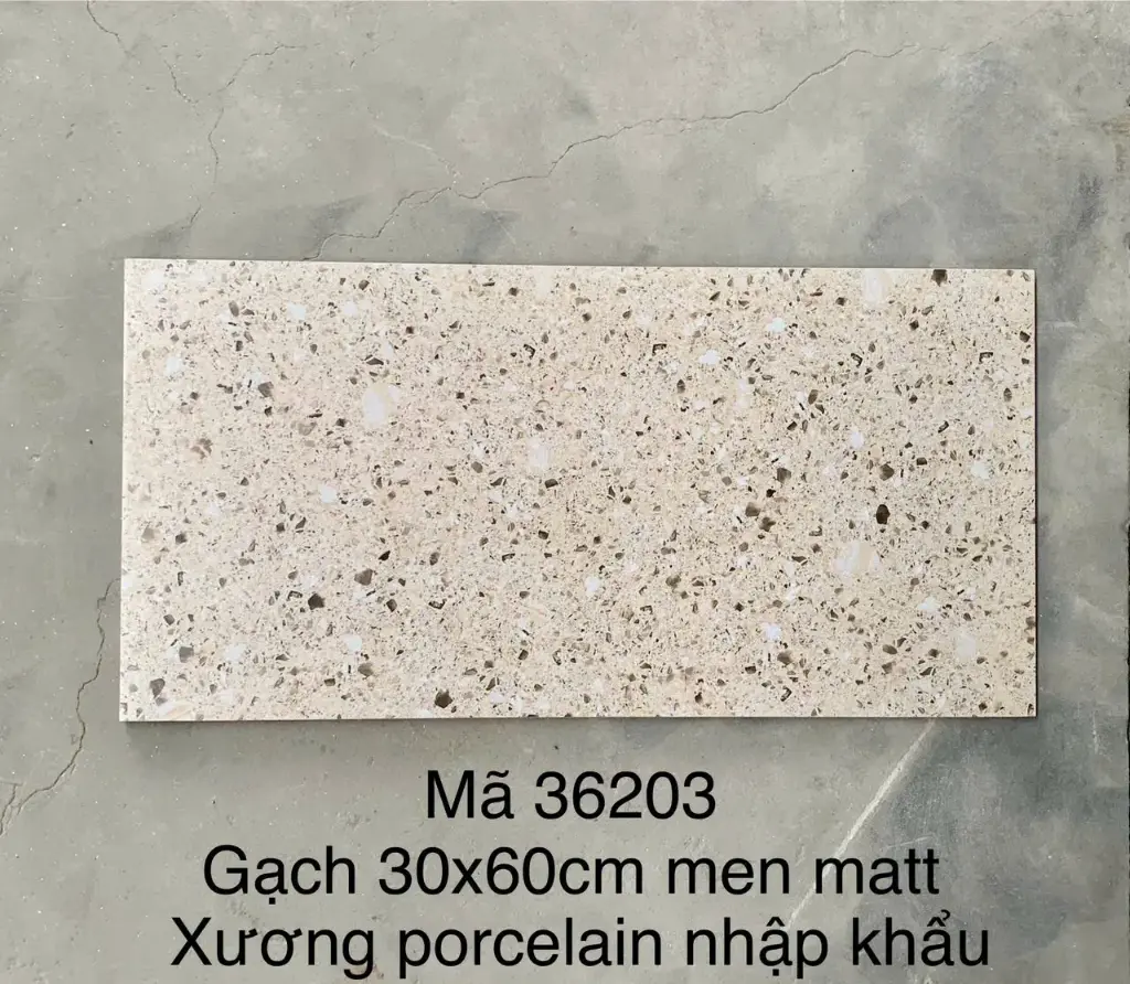 [DSC-36203] Gạch men matt xương porcelain KT 300x600mm mã 36203