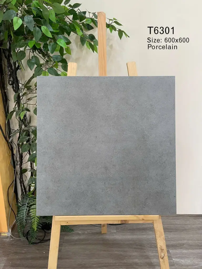 [T6301] T6301 , Gạch 60x60cm porcelain menmatt