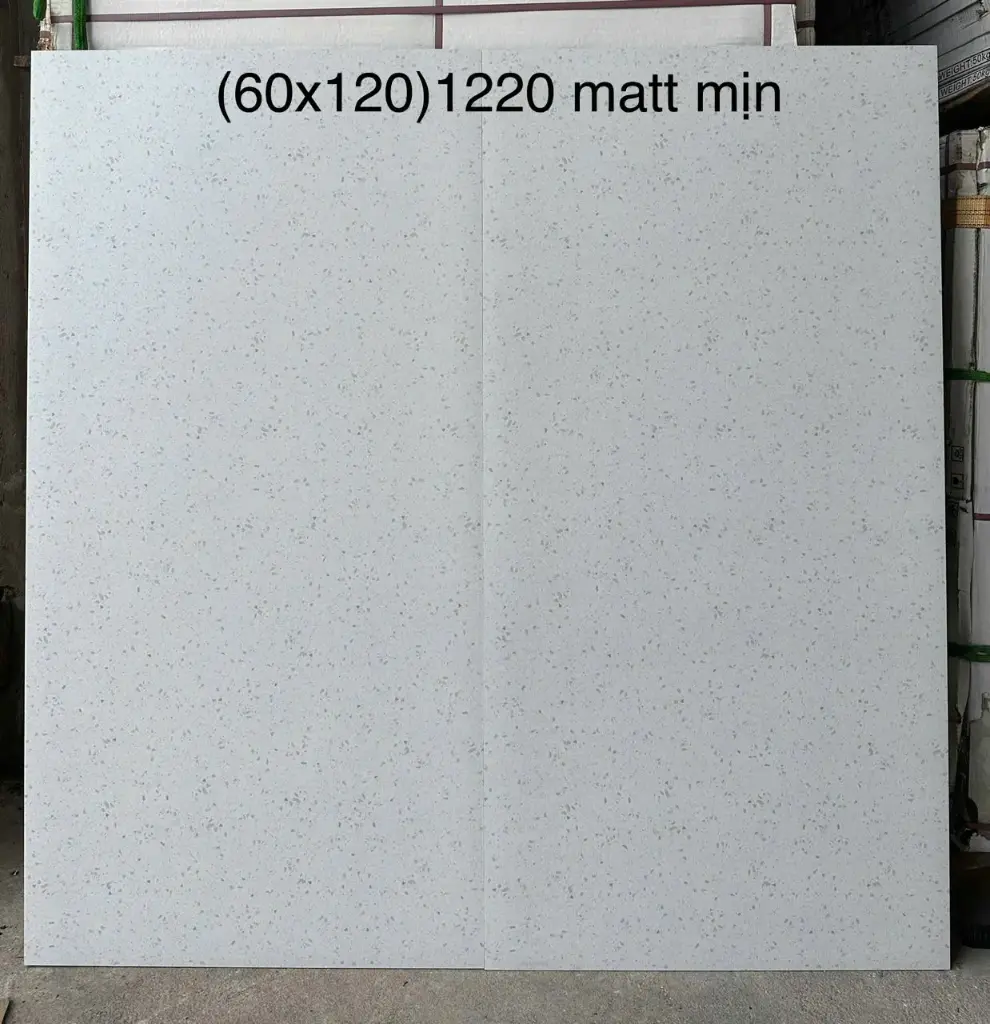 [DSC-1220] Gạch terrazzo Trung Quốc, kích thước 600x1200 mm porcelain men matt mịn mã 1220