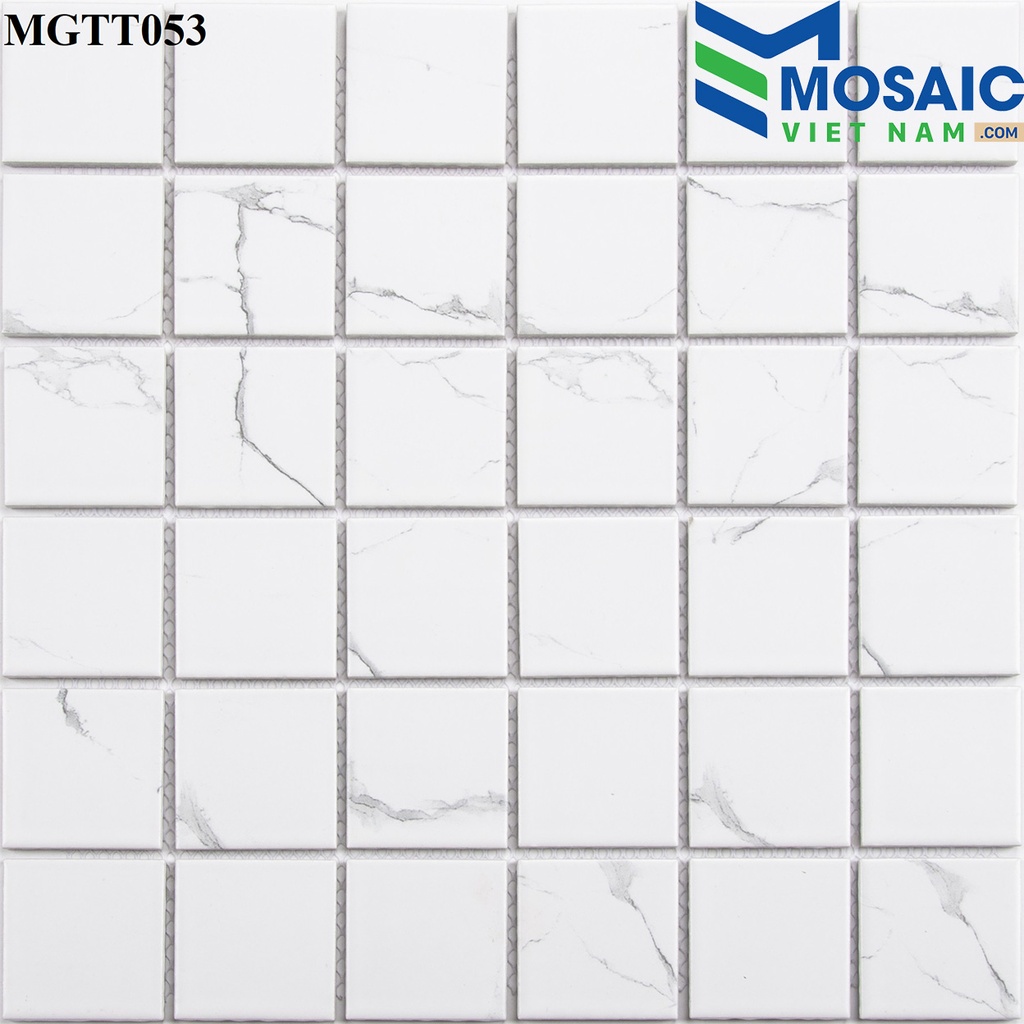 [DSC-2608-66577] Gạch Mosaic Gốm sứ men bóng 48×48 MGTT053