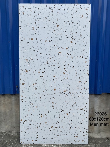 Gạch khổ lớn 600x1200