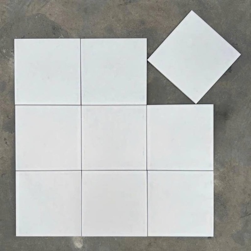 [DC90] Gạch Bông trắng KT 200x200mm mã DC90